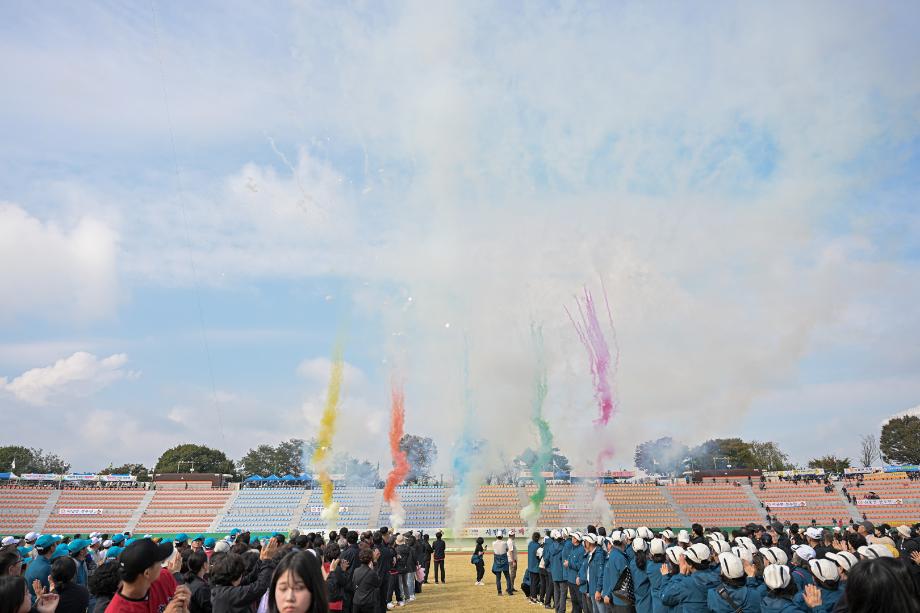 해당파일이미지