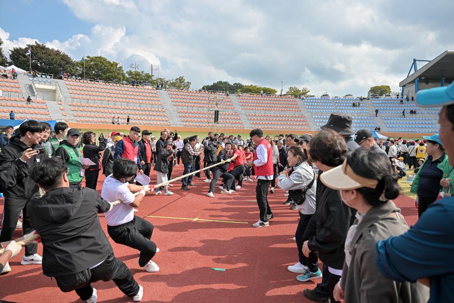 해당파일이미지